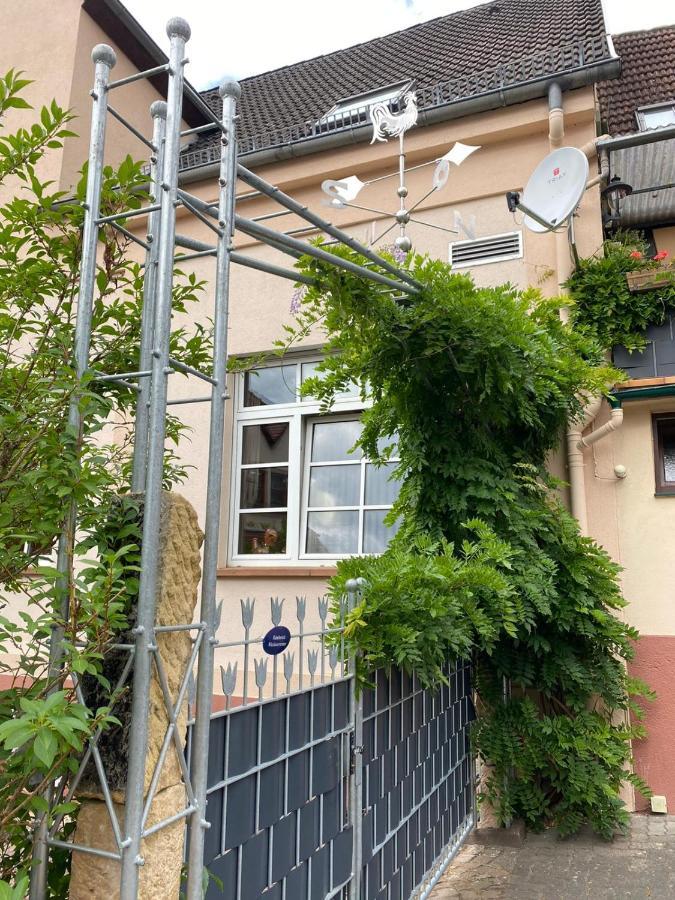 Pension - Gaestehaus Zum Pfaelzerwald Hinterweidenthal 外观 照片
