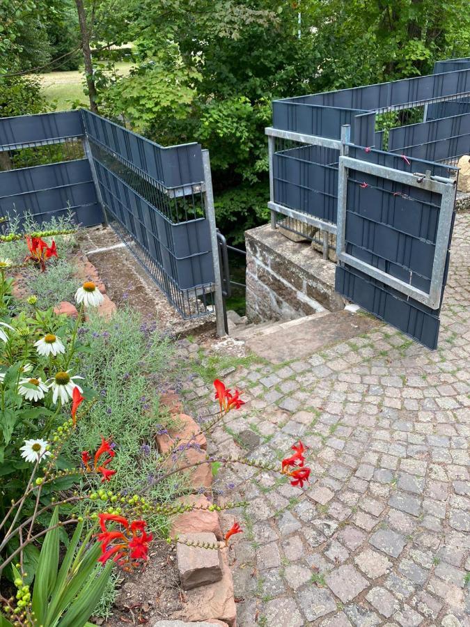 Pension - Gaestehaus Zum Pfaelzerwald Hinterweidenthal 外观 照片