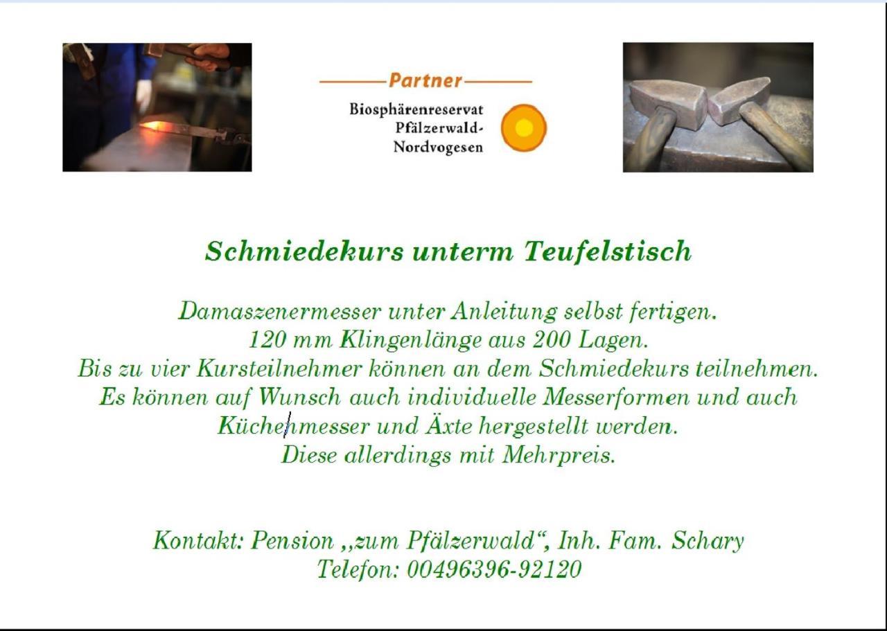 Pension - Gaestehaus Zum Pfaelzerwald Hinterweidenthal 外观 照片
