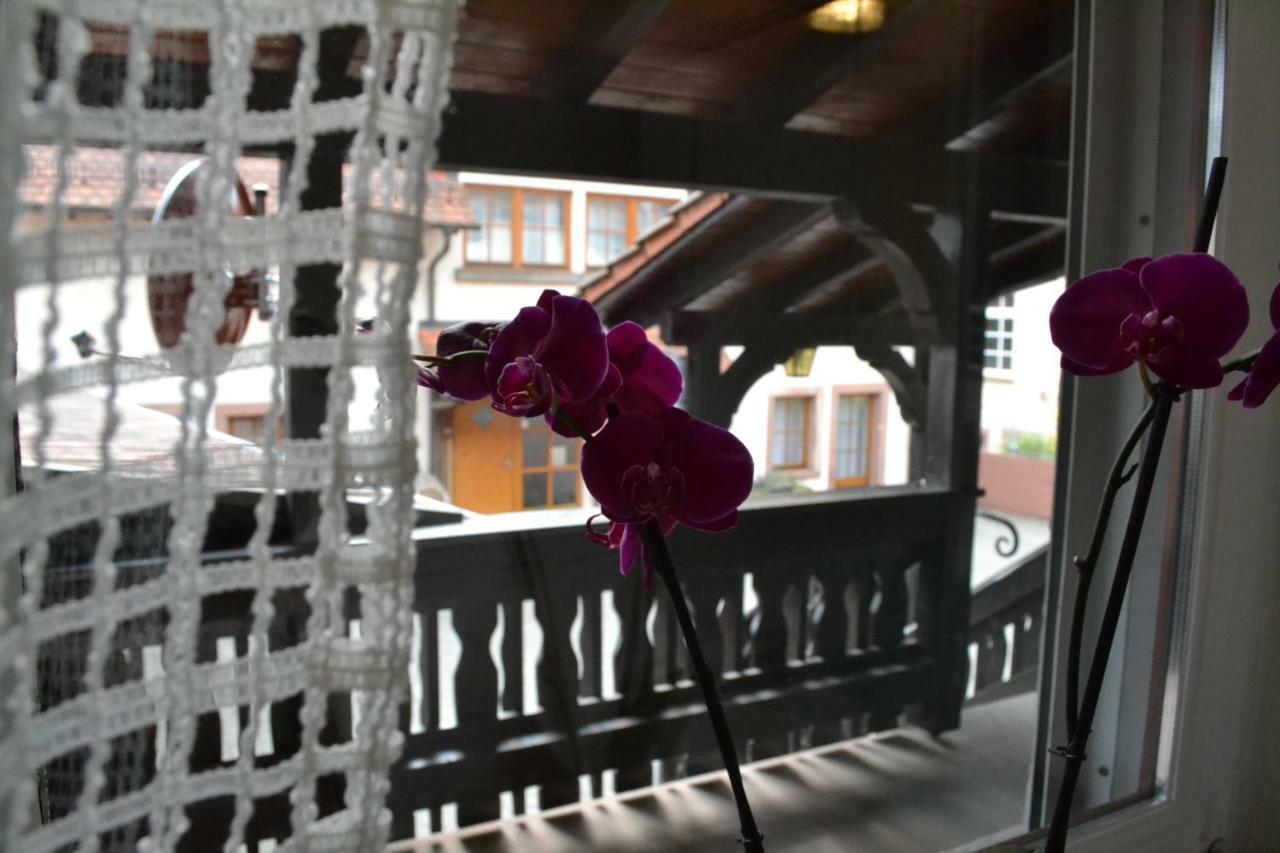 Pension - Gaestehaus Zum Pfaelzerwald Hinterweidenthal 外观 照片